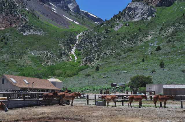 near Rush Creek 